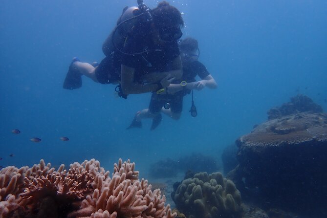Dive Trip Experience in Koh Tao - Dive Sites Exploration