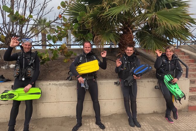 Diving in Los Cristianos, Tenerife - Dive Sites in Los Cristianos