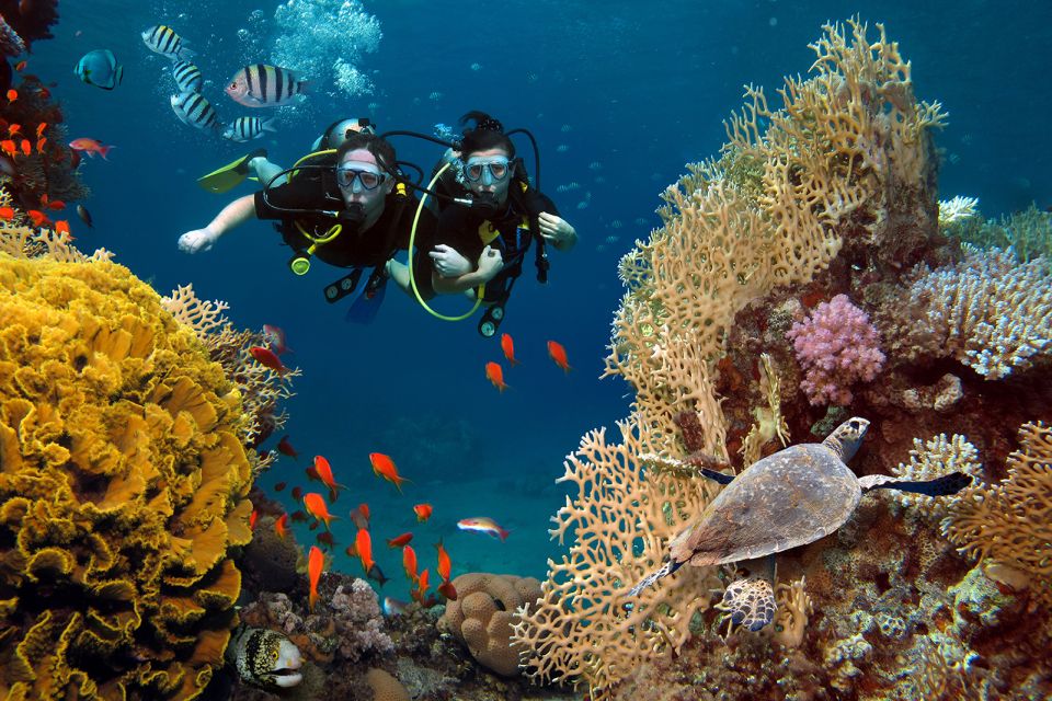 Diving Tour in Alanya - Booking Information