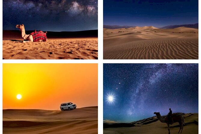 Doha : Night Desert Safari Transit Safari Camel Ride Dune Bashing - Key Points