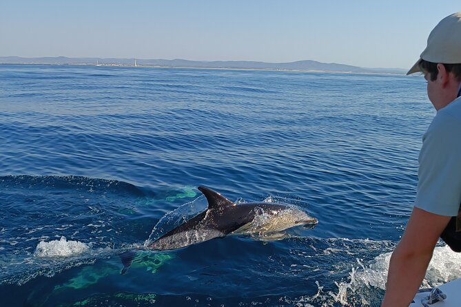 Dolphin Watching 2 Islands Tour - From Faro - Key Points