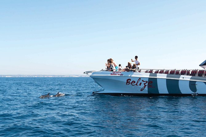 Dolphin Watching and Cave Boat Cruise From Albufeira - Key Points