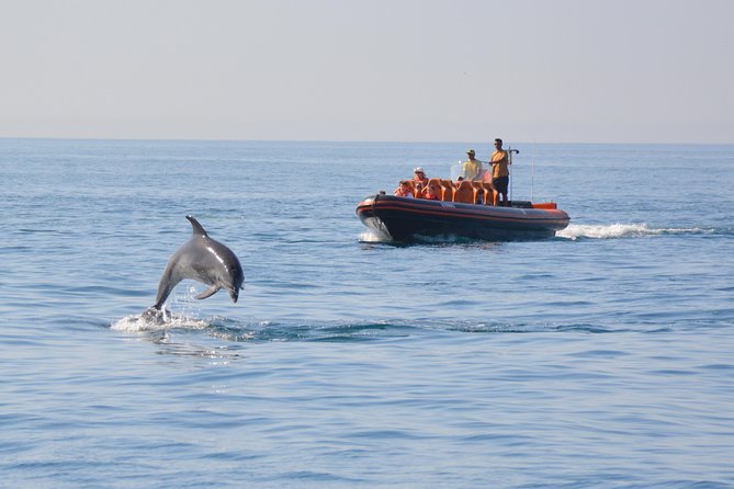 Dolphin Watching and Cave Tour From Vilamoura - Key Points