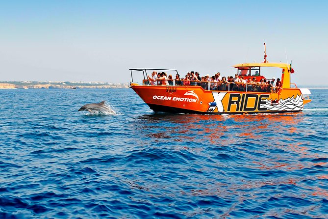 Dolphin Watching and Caves Cruise - Key Points