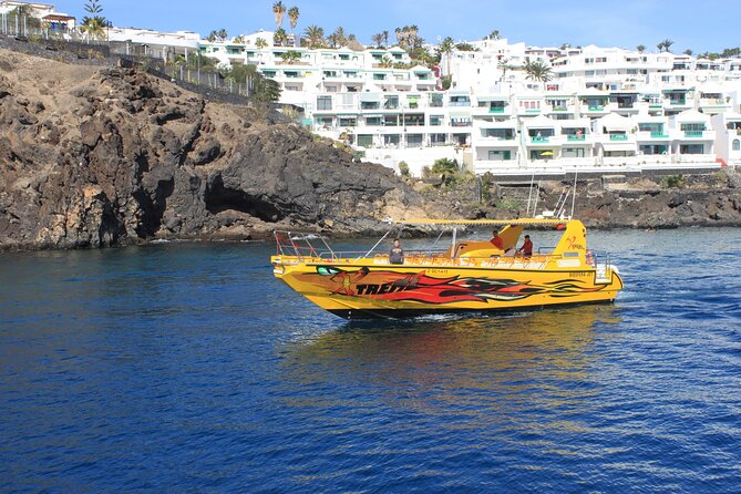 Dolphin Watching Cruise to Lobos Island - Tour Highlights and Itinerary