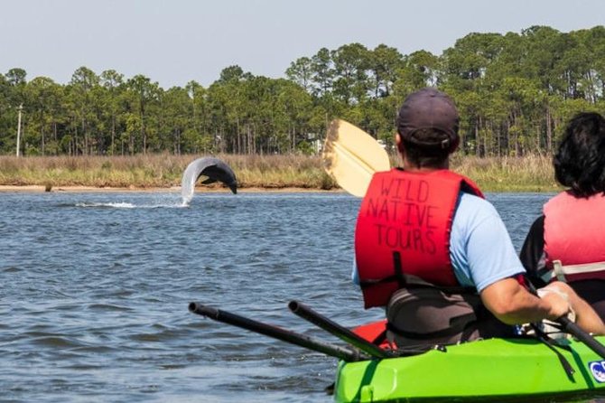 Dolphins and Wildlife Kayak Experience From Gulf Shores - Key Points