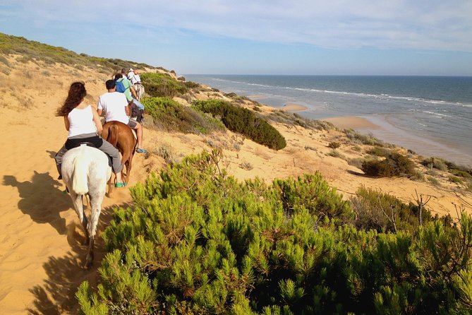 Donana National Park Horse or 4x4 Riding Day Trip - Key Points