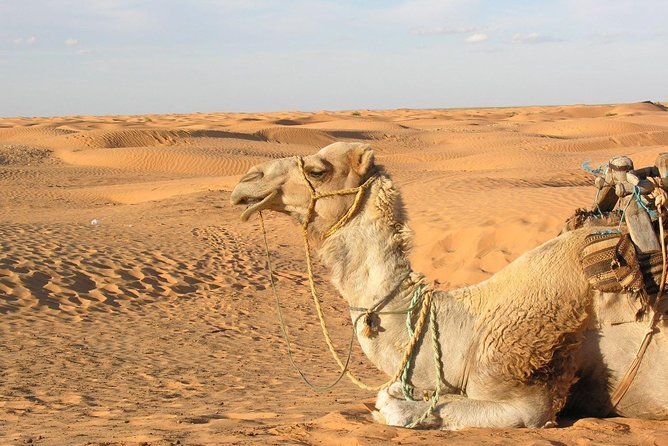 Door of the Tunisian Desert Ksar Ghilane and Matmata: Full One Day - Key Points