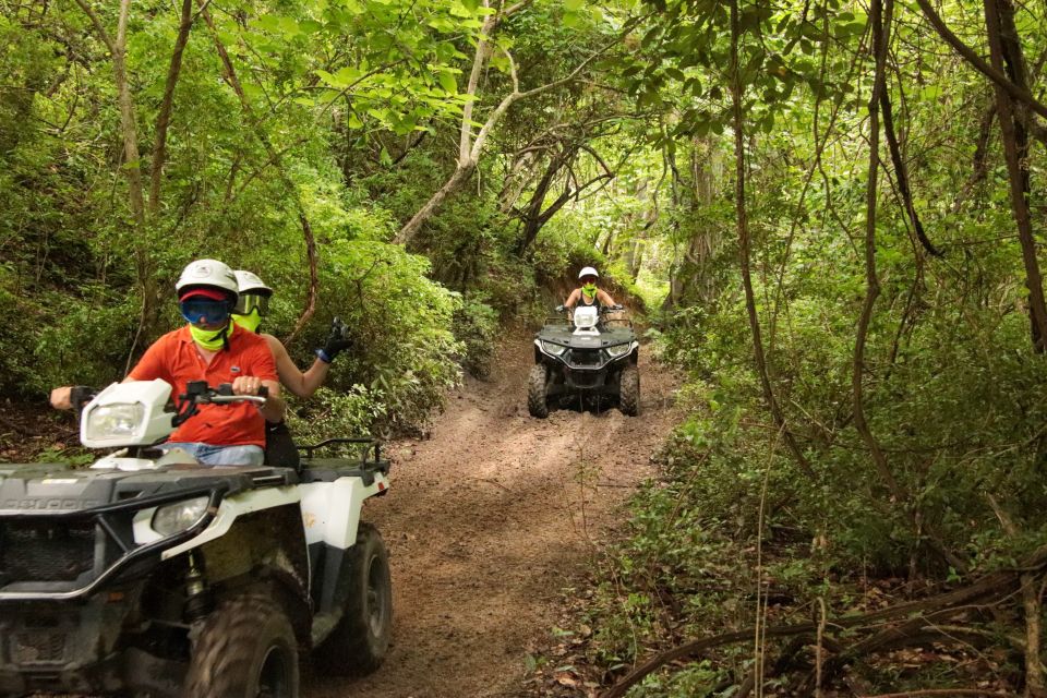 Double or Single Rider ATV Jungle Tour - Key Points