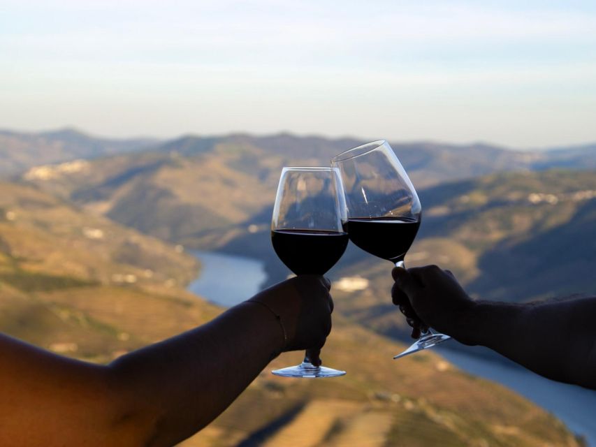 Douro Valley: 3 Vineyards Private Experience - Key Points