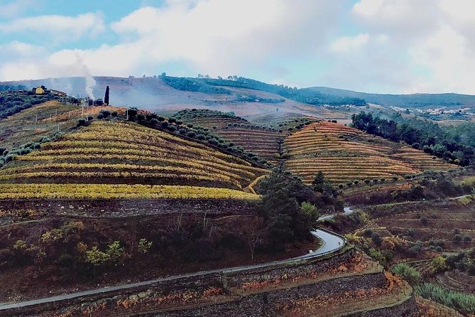 Douro Valley: Food and Wine Small Group Tour From Porto - Key Points
