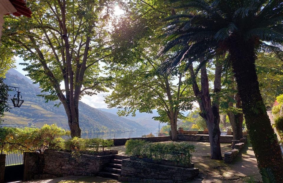 Douro Valley : (Pinhão) Quinta Da Foz - Tour&Tasting 5 WINES - Key Points