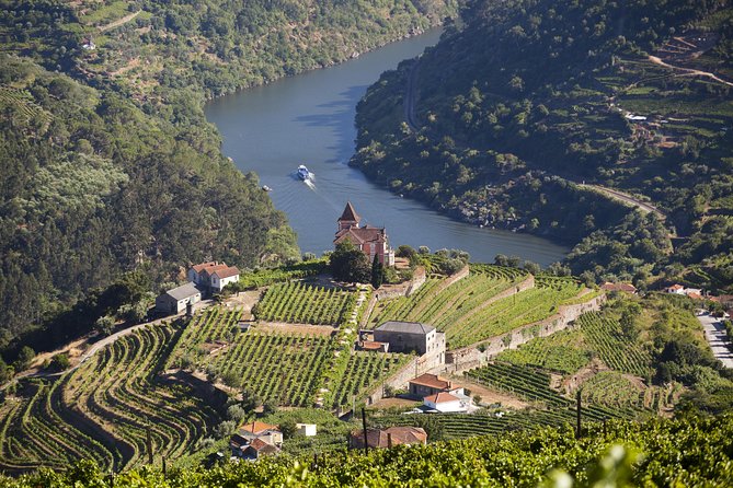 Douro Valley Private Full–Day Tour From Porto - Key Points