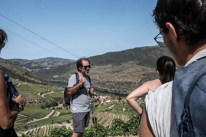 Douro Valley Private Hike&Picnic - Key Points