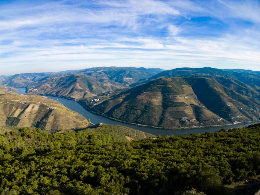 Douro Valley: Private Tour 2 Vineyards & River Cruise - Key Points