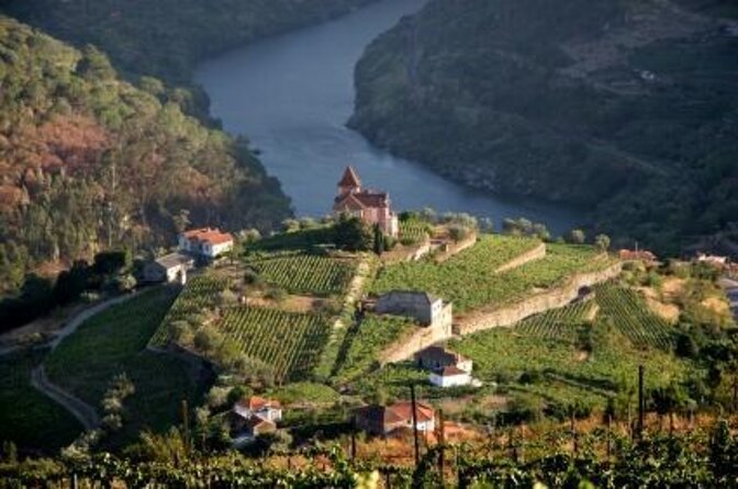 Douro Valley Small Group Tour From Porto - Key Points