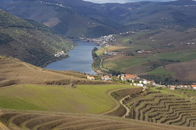 Douro Valley Tour: 2 Vineyard Visits, River Cruise, Winery Lunch - Key Points
