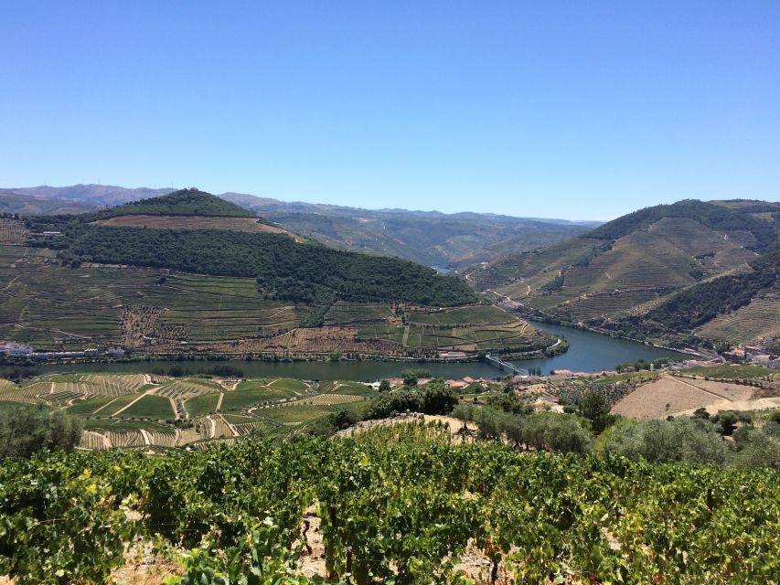 Douro Valley Wine Tasting From Porto - Key Points