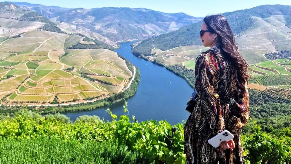 Douro Valley:Expert Wine Guide,Boat, Wine, Olive Oil & Lunch - Key Points