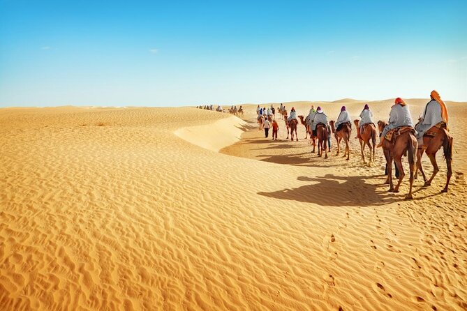 Douz: Full-Day Camel Trek in Tunisia Sahara Desert With Lunch - Key Points