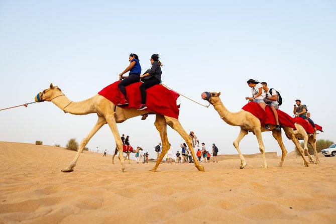 Dubai Combo:City Tour and Premium Desert Safari With All Activities - Key Points