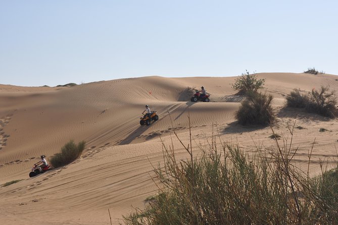 Dubai Desert Afternoon Quad Safari With Camel Ride, BBQ Dinner and Belly Dancing - Key Points