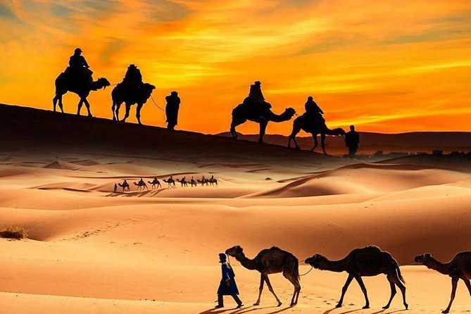 Dubai Desert Safari With Camel Ride and Barbeque Dinner - Key Points