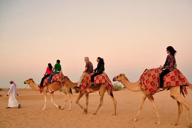 Dubai Desert Safari With Camel Riding and Belly Dance - Key Points