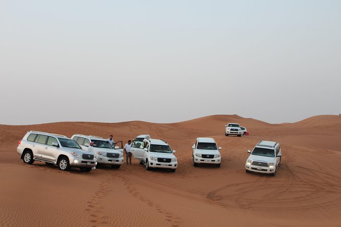 Dubai Desert Safari With Dune Bash, Camel Ride, BBQ and Shows - Key Points