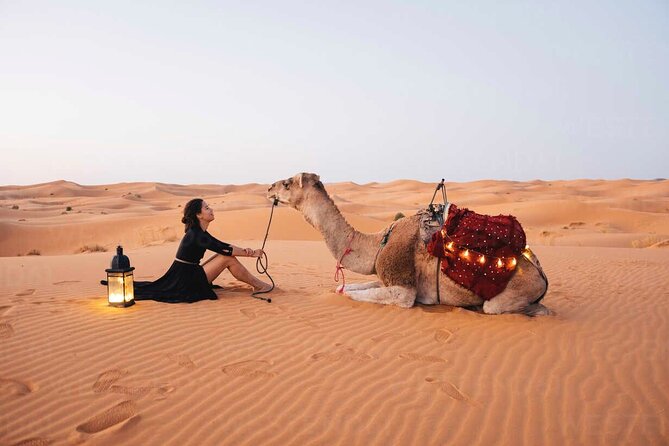 Dubai: Red Dunes Desert Safari, Camel Ride, Sandboard, Quad Bike - Key Points