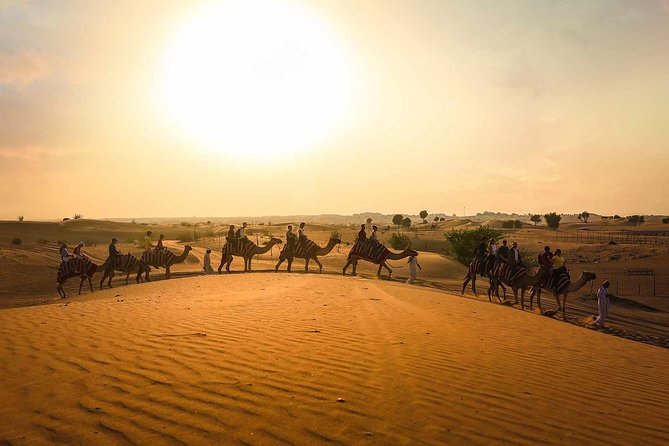 Dubai: Sunset Camel Caravan Safari With BBQ Dinner at Al Khayma Camp - Key Points