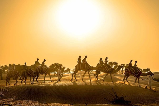 Dubai Sunset Camel Trekking With Shows & BBQ Dinner - Key Points