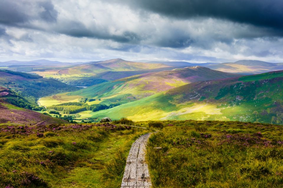 Dublin to County Wicklow & Glendalough Private Trip by Car - Key Points