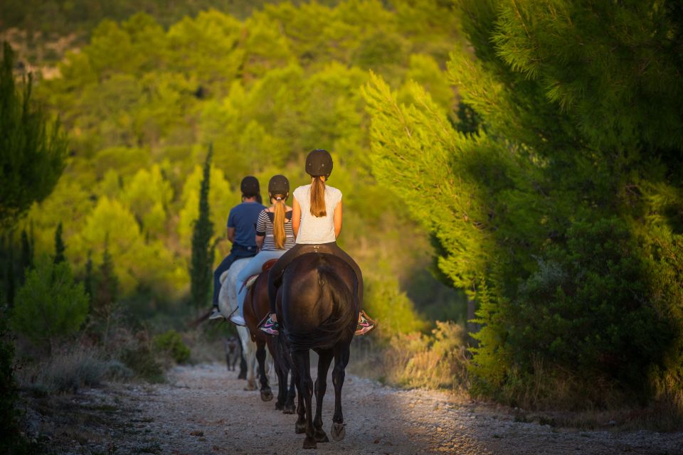 Dubrovnik Kojan Koral: Horseback Riding - Key Points