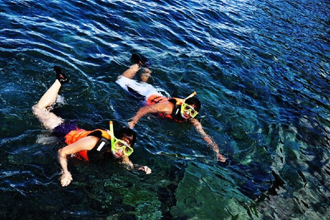 Dumaguete Apo Island Snorkeling Tour - Key Points