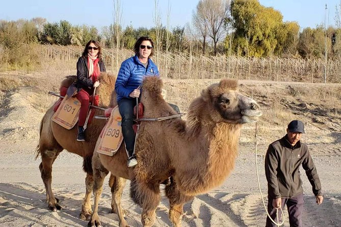 Dunhuang Private Camel Riding in the Gobi Desert - Key Points
