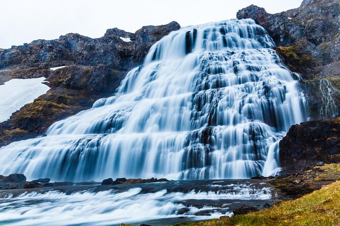 Dynjandi Waterfall & Iceland Farm Visit Tour - Key Points