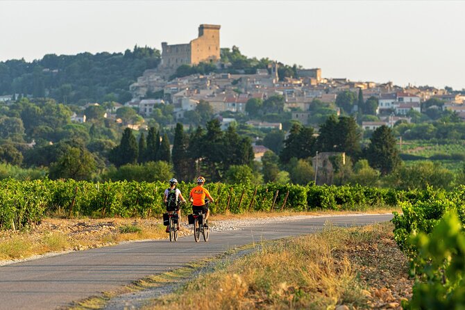 E-Bike Tour and Wine Tasting From Vaison La Romaine - Key Points