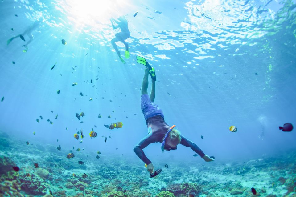 East Bali: Snorkeling Day Trip to Amed - Key Points