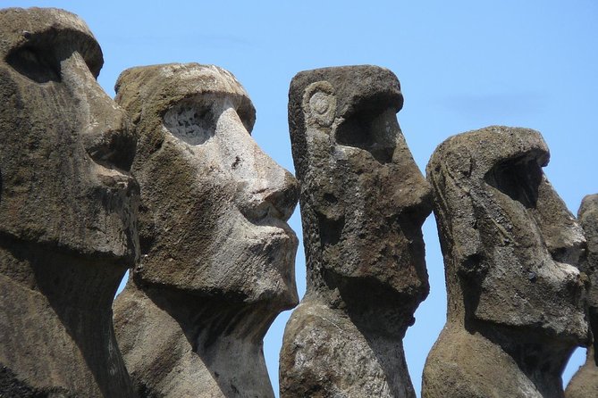 Easter Island Moai Archaeology Tour: Ahu Akivi, Ahu Tahai and Puna Pauâ Quarry.