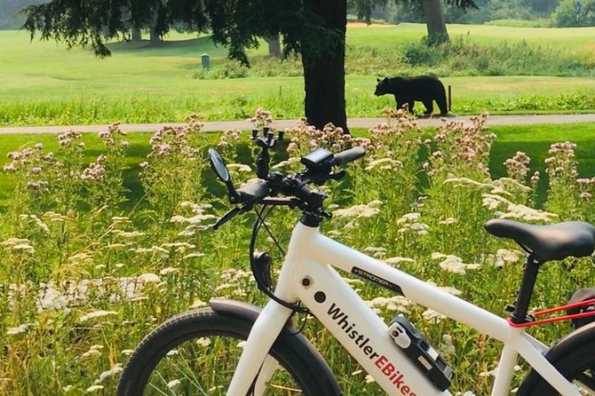 Ebike Adventure in Whistler