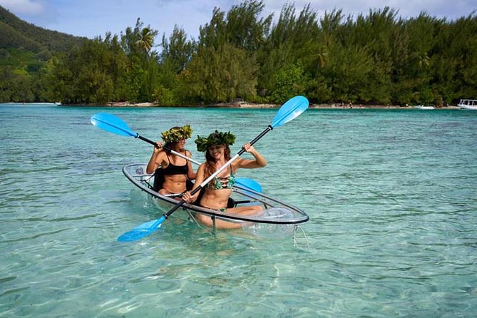 Eco Guided Excursion to the Lagoon of Moorea in Transparent Kayak 1/2 Day Morning - Key Points