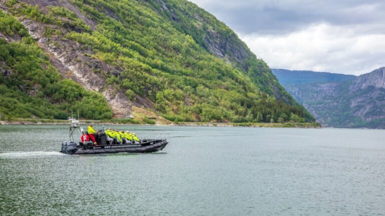 Eidfjord: 1-Hour Fjord RIB Tour