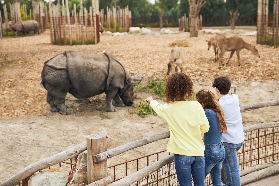 Eindhoven: Dierenrijk Zoo Entry Ticket - Key Points