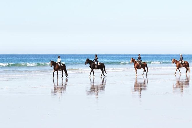 El Palmar Beach Horse Riding  - Andalucia - Key Points