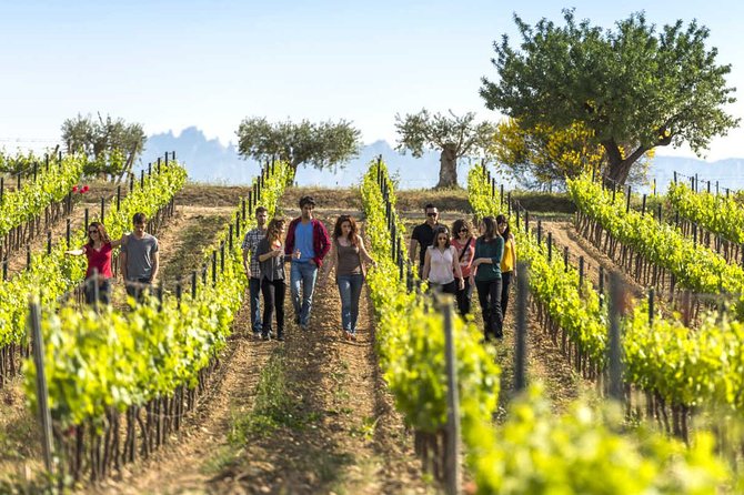 El Penedès Hike & Wine. Premium Small Group Tour From Barcelona - Key Points