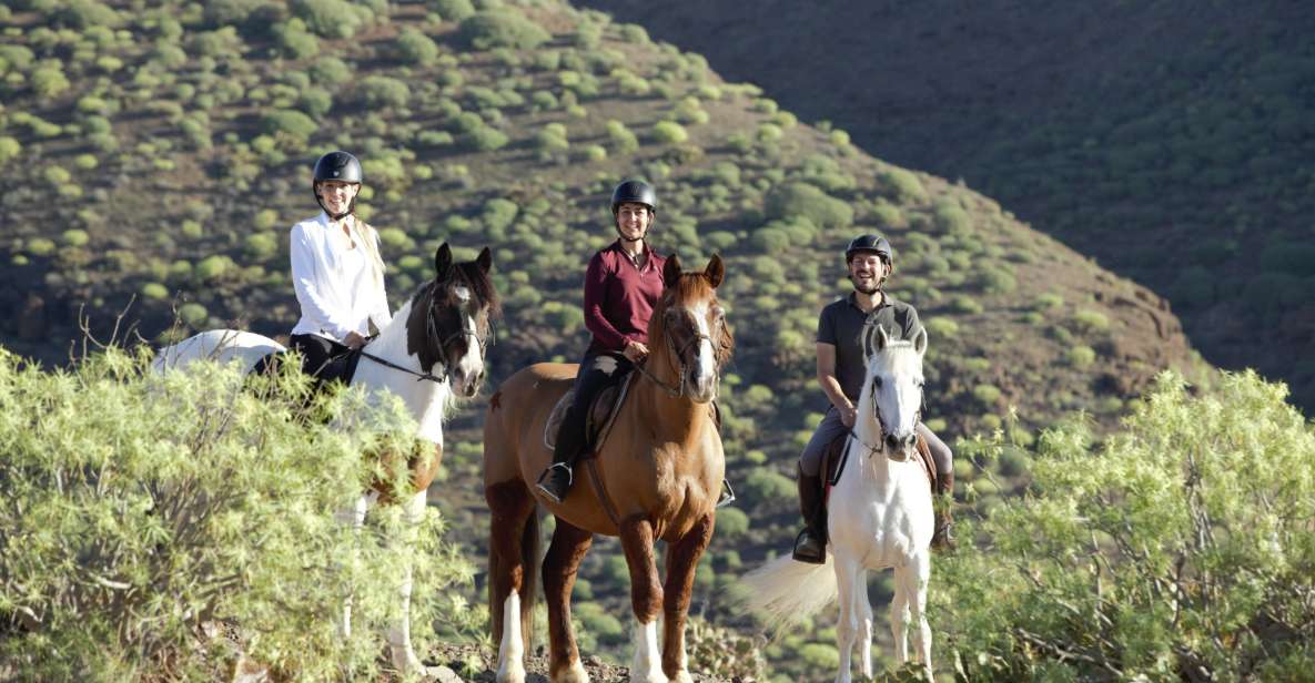 El Salobre: Horse Riding Adventure With Transfer Options - Key Points