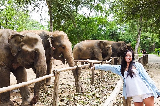 Elephant Haven Kanchanaburi With Private Transfer From Bangkok - Key Points