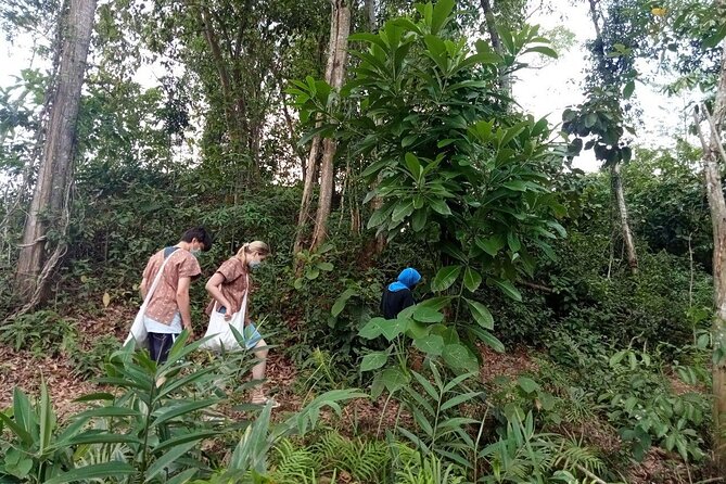 Elephant Sanctuary Small Group Tour in Phuket - Key Points