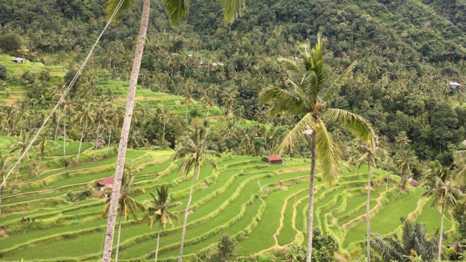 Enchanting Bali Adv : Sekumpul and Fiji Waterfall Expedition - Key Points